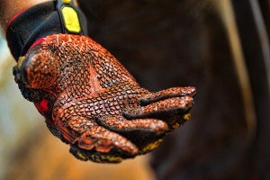 OBM-palm-macro-1-topazed