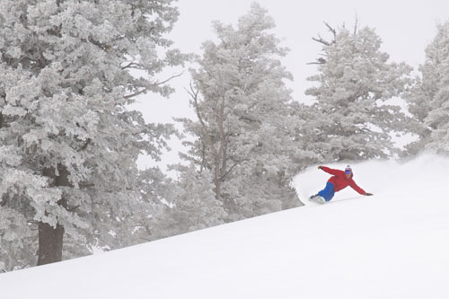 RR_Snowbasin_backcountry