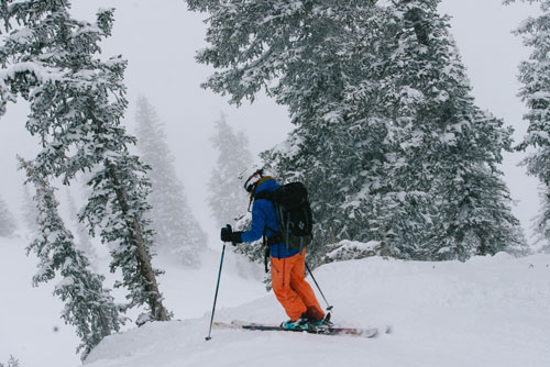 RR_Snowbird_Backcountry