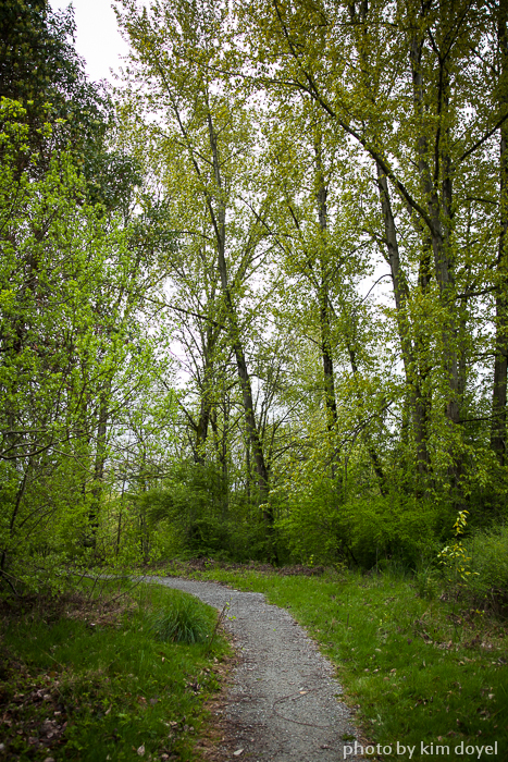 OIA_West Duwamish Greenbelt-Credit Kim Doyel